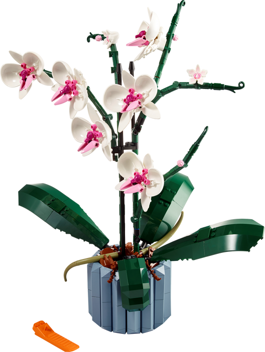 Orchid Flower Model Building Blocks 10311 (608 Stukken)