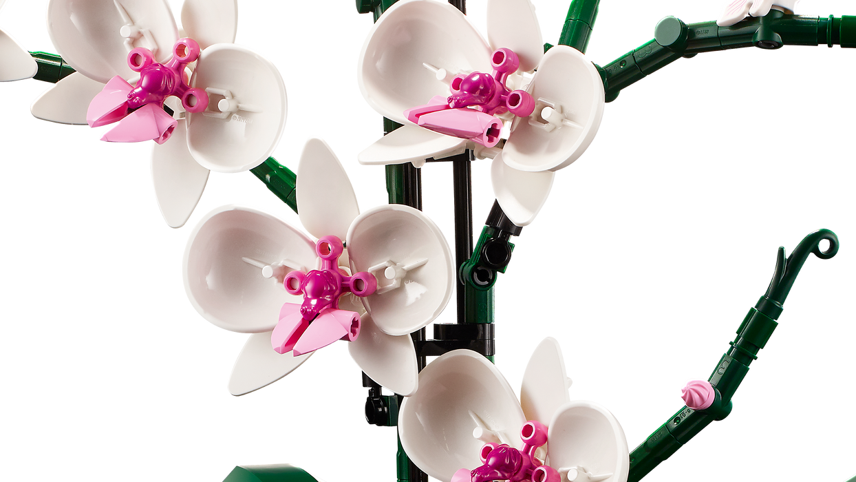 Orchid Flower Model Building Blocks 10311 (608 Stukken)