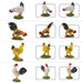 16PCS O Scale Chickens 1/43 (PVC) AN4306 - upgraderc