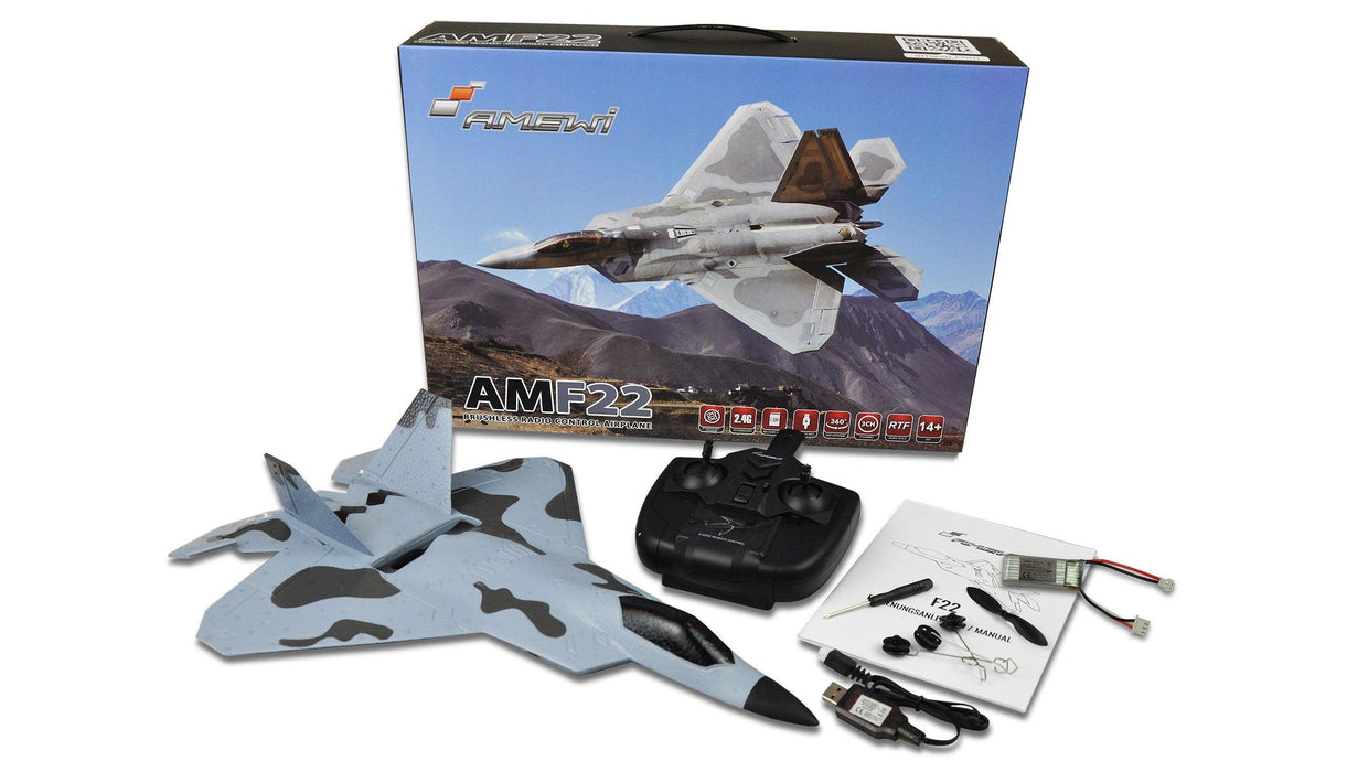 Amewi F22 3D/6G 320mm Aircraft PNP (Foam)