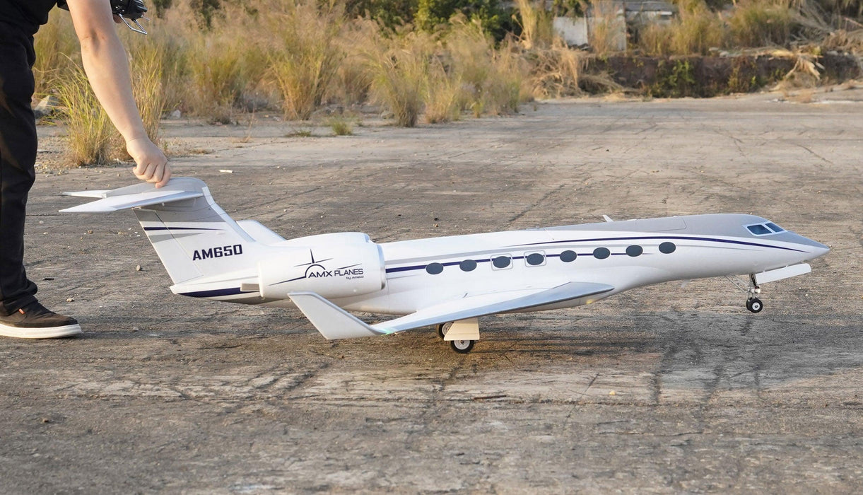 Amewi AMXPlanes AM650 Business-Jet 1766mm Airplane BNF (Foam)