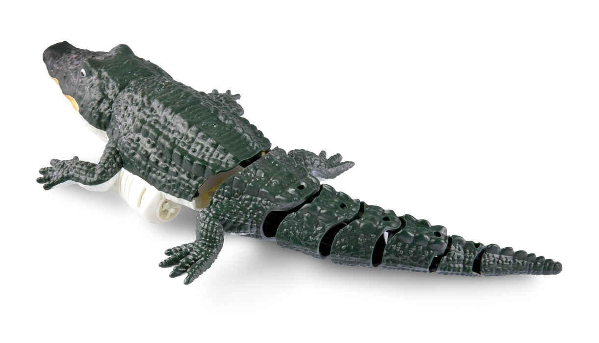 Amewi Croco The Little Crocodile 370mm PNP