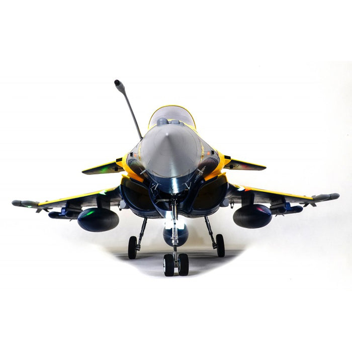 FMS 80mm Rafale Dassault EDF BNF