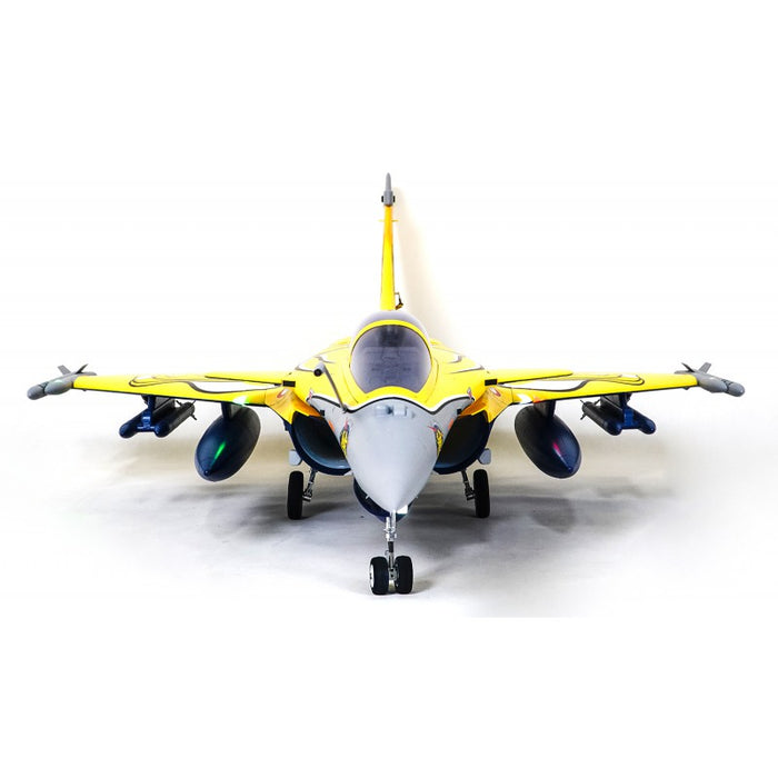 FMS 80mm Rafale Dassault EDF BNF