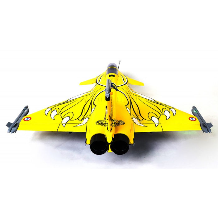 FMS 80mm Rafale Dassault EDF BNF