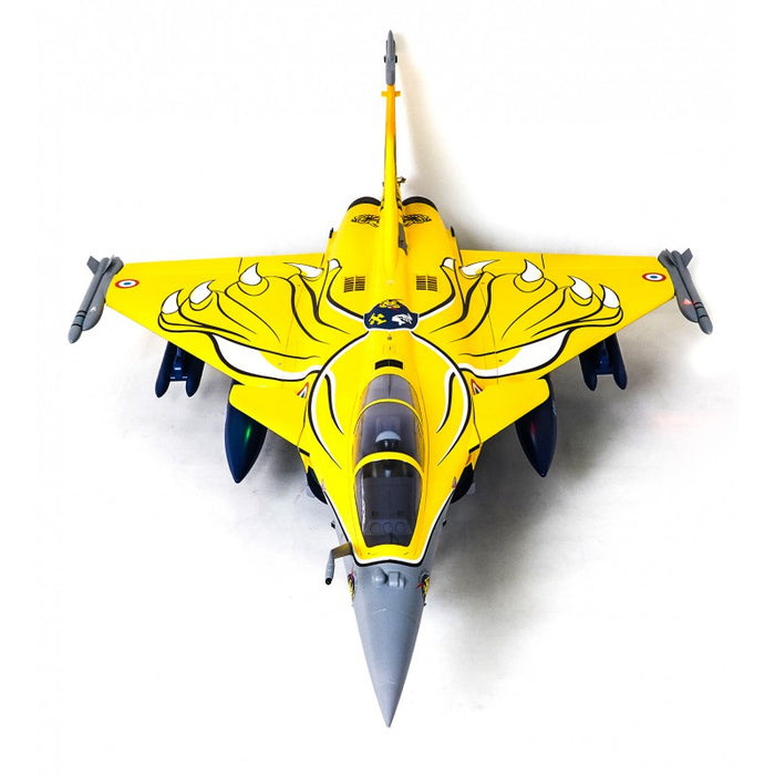 FMS 80mm Rafale Dassault EDF BNF