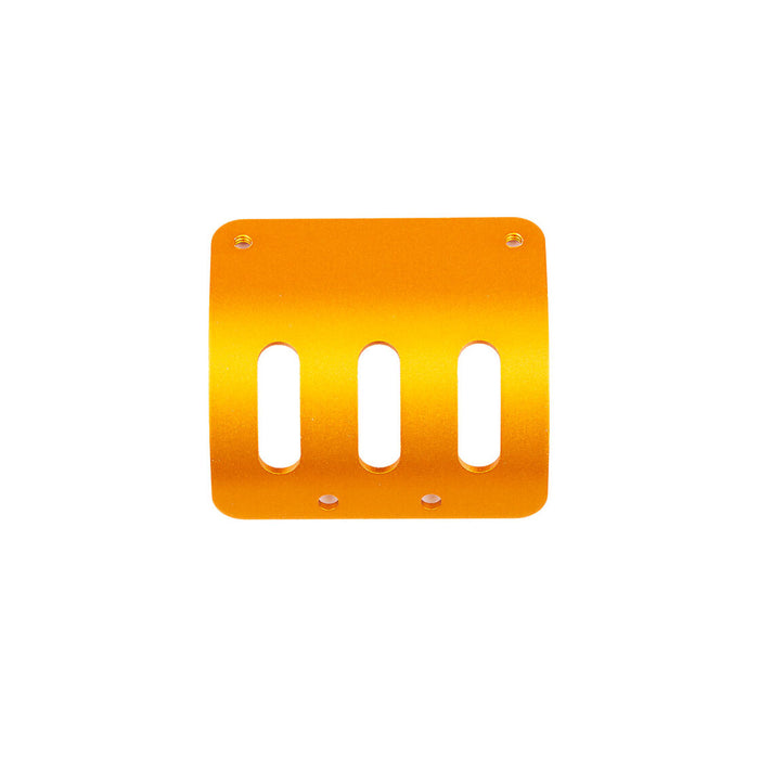 Motor Guard for Team Associated RC10 1/10